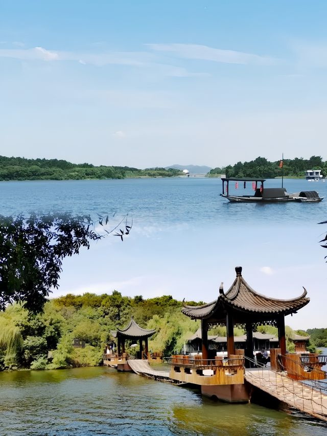 城市人嘅下鄉記：魚頭湯飲到飽，竹海茶園任影唔嬲