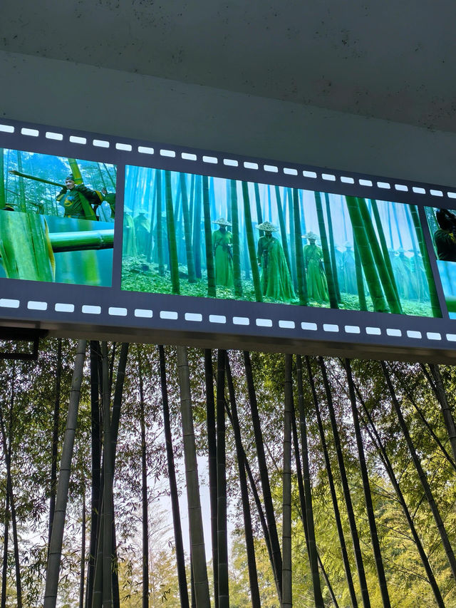 茶竹之城，山水之韻