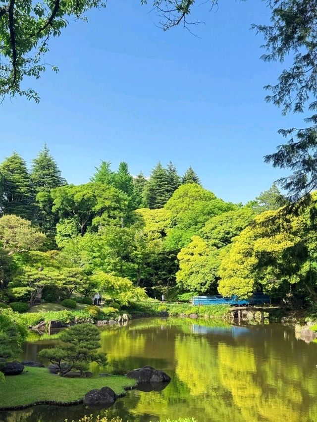 舊古河庭園交通攻略：輕鬆抵達日西融合庭園