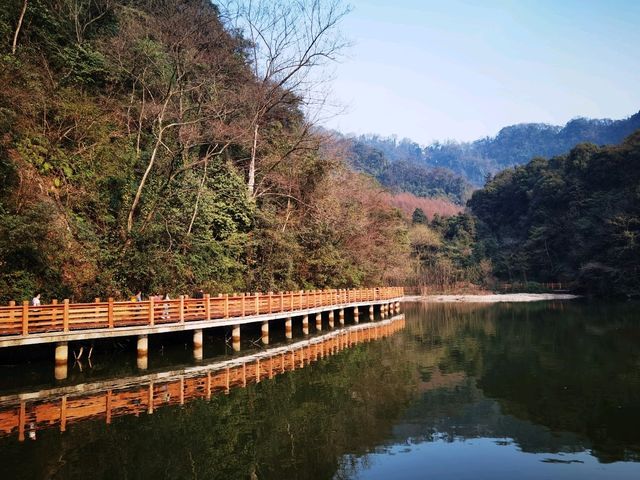 青城山旅行攻略|道教聖地與自然奇觀的完美交融 青城山旅行攻略|道教聖地與自然奇觀的完美交融