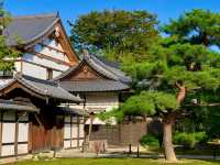穿越千年京都：一座城市，半部日本史