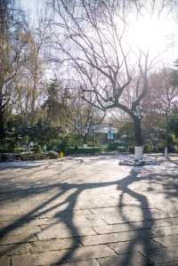 濟南子曰•明湖酒店｜子曰豪華大床房入住體驗