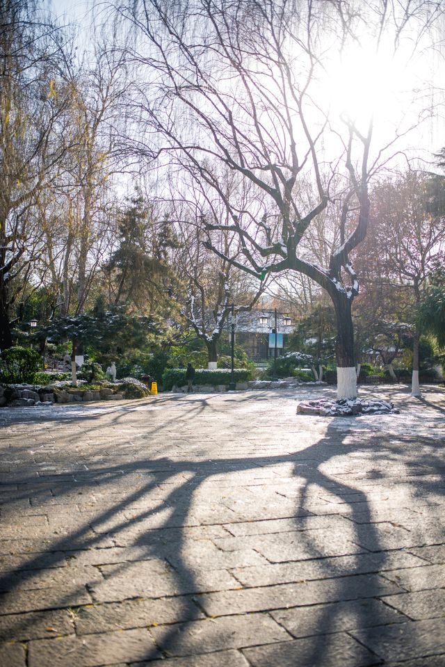 濟南子曰•明湖酒店｜子曰豪華大床房入住體驗