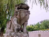Exploring Xi’an’s Huan Cheng Xi Yuan (环城西苑): A Green Shelter Along the Ancient City Wall