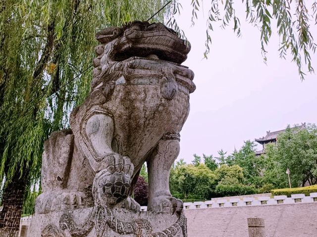 Exploring Xi’an’s Huan Cheng Xi Yuan (环城西苑): A Green Shelter Along the Ancient City Wall