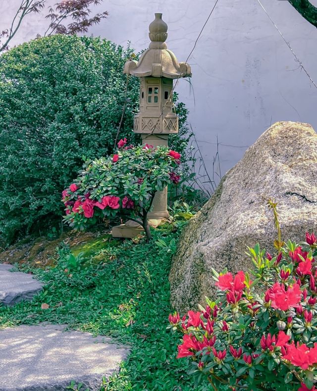 南昌版有風小院南昌綠野仙蹤高新花卉市場