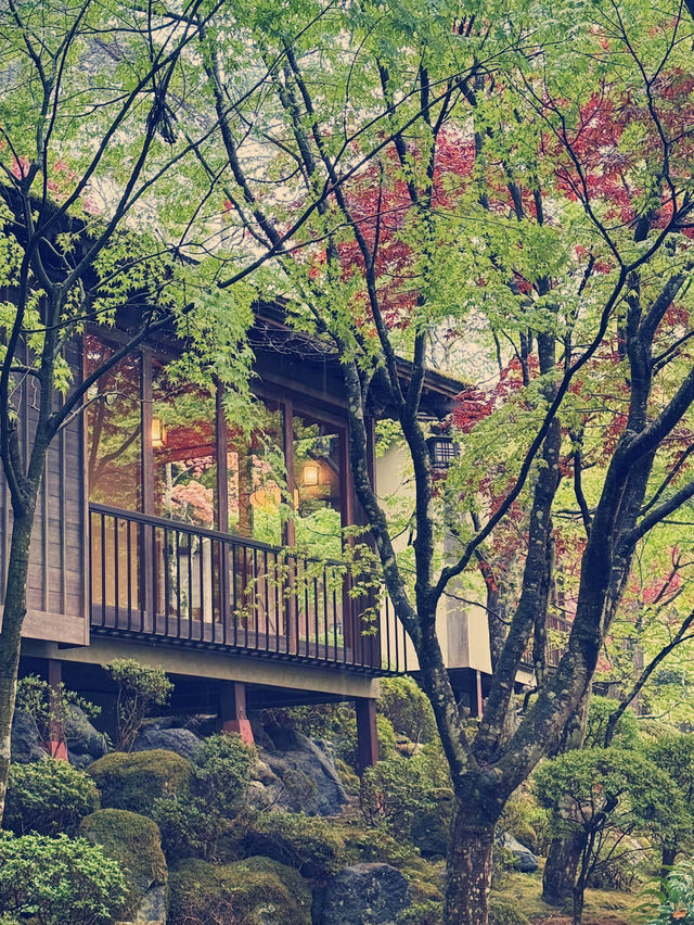 邂逅鐘山苑，沉浸富士山溫泉之境