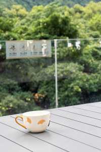 喺陽朔提早開始退休生活…