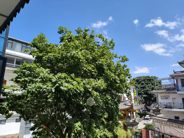 靠着蒼山入眠，偷得浮生半日閒