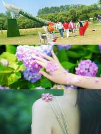 揚州，住進繡球花海包圍嘅莊園