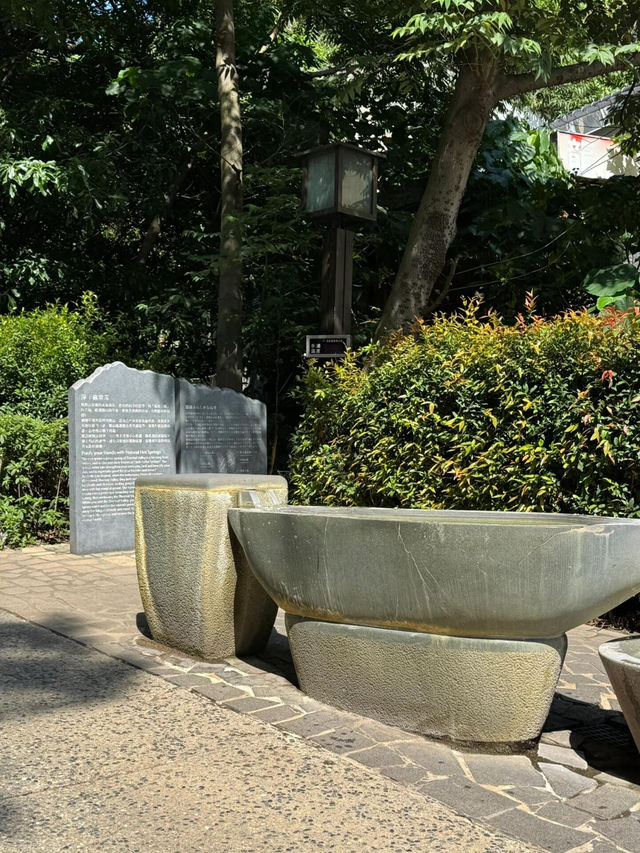《在台日記｜夏遊地熱谷，拾回時光碎片》