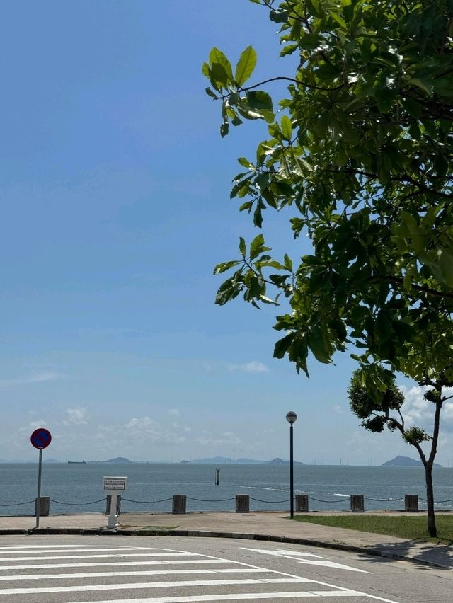 從香港出發到澳門龍爪角海岸徑交通攻略  從香港出發到澳門龍爪角海岸徑交通攻略