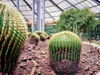 Wuhan Botanic Garden: Where Science, Conservation, and Botanical Splendor Converge
