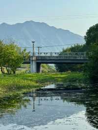 當都市人花288蚊買「自然體驗課」，呢度嘅溪石正免費