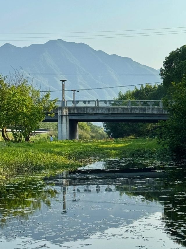 當都市人花288蚊買「自然體驗課」，呢度嘅溪石正免費