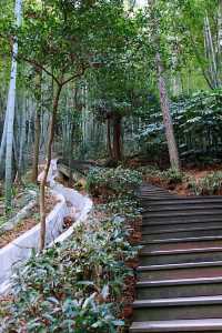 第一次去韶山毛澤東同志故居攻略，精心整理