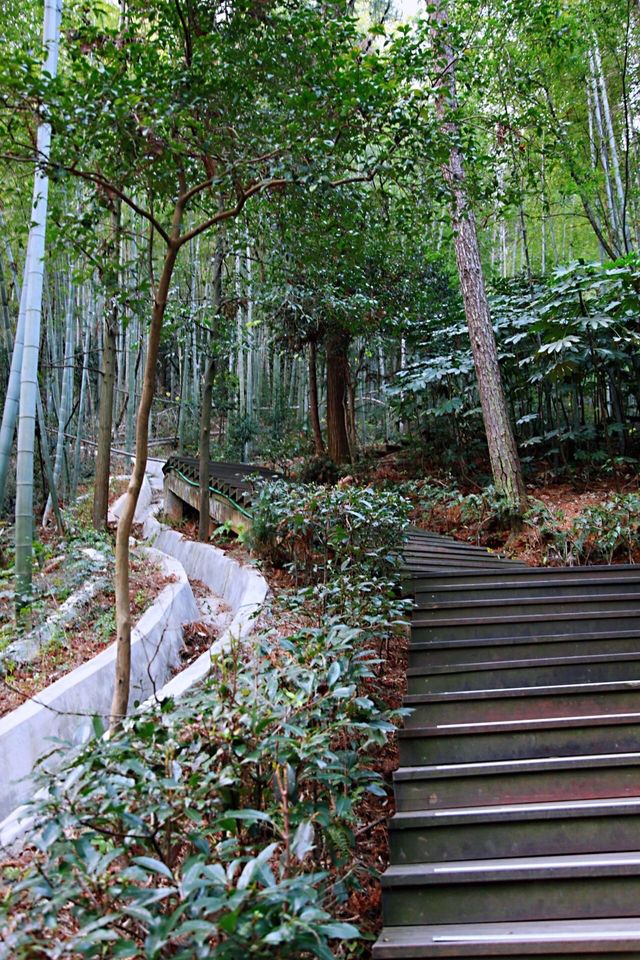 第一次去韶山毛澤東同志故居攻略，精心整理