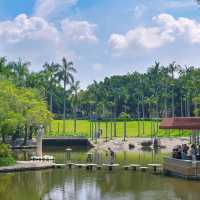 蓮花公園荷花季，在小區樓下就能賞荷