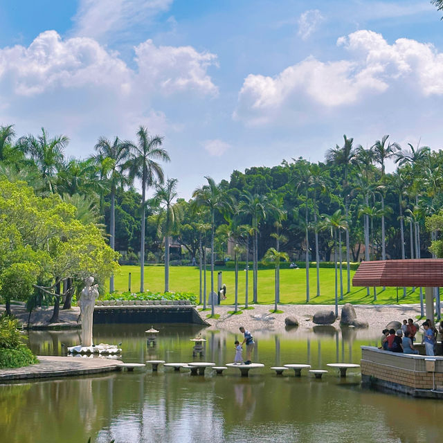 蓮花公園荷花季，在小區樓下就能賞荷