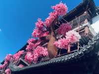 豫園賽博山海經｜在千年園林解鎖《魔獸世界》