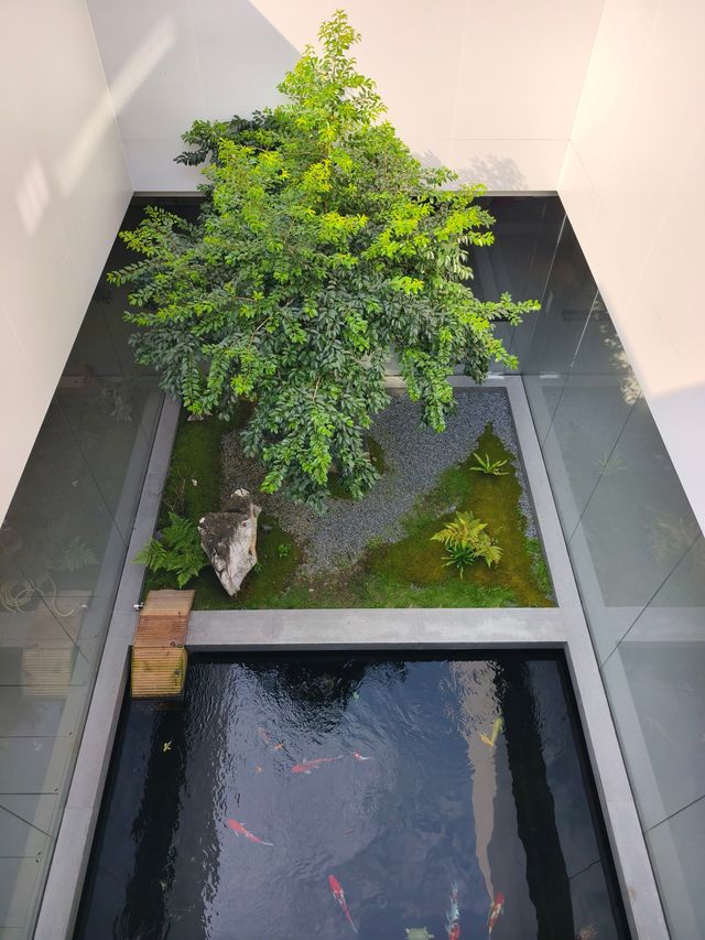 廣東新展3000呎莊家7美術館震撼到我