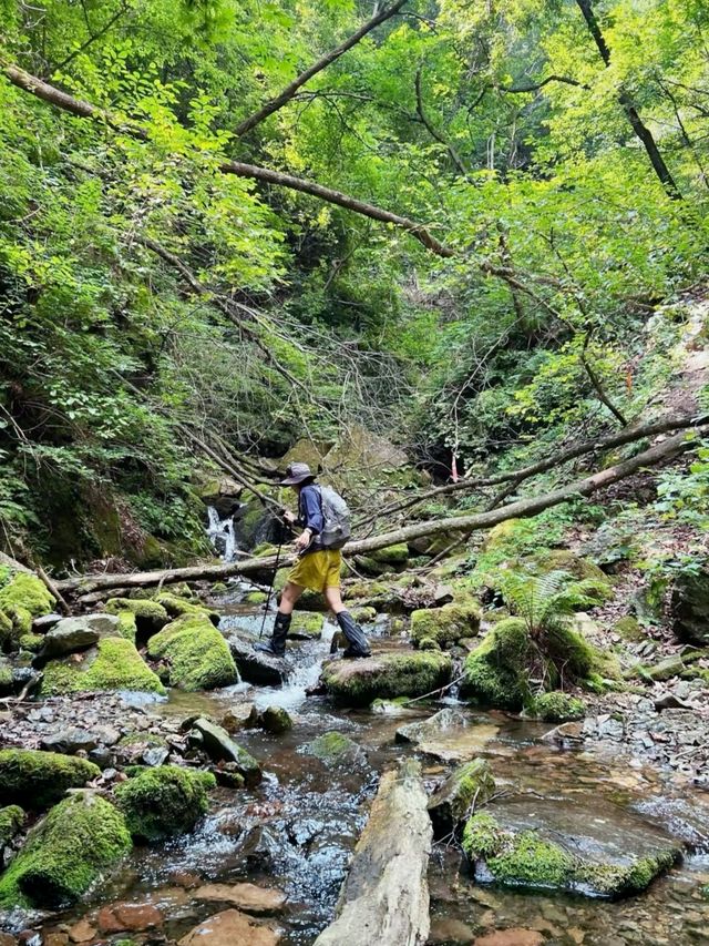 本溪｜淌石溝-東大崗-刺花溝