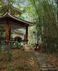 南寧狮山公園拍照秘境分享