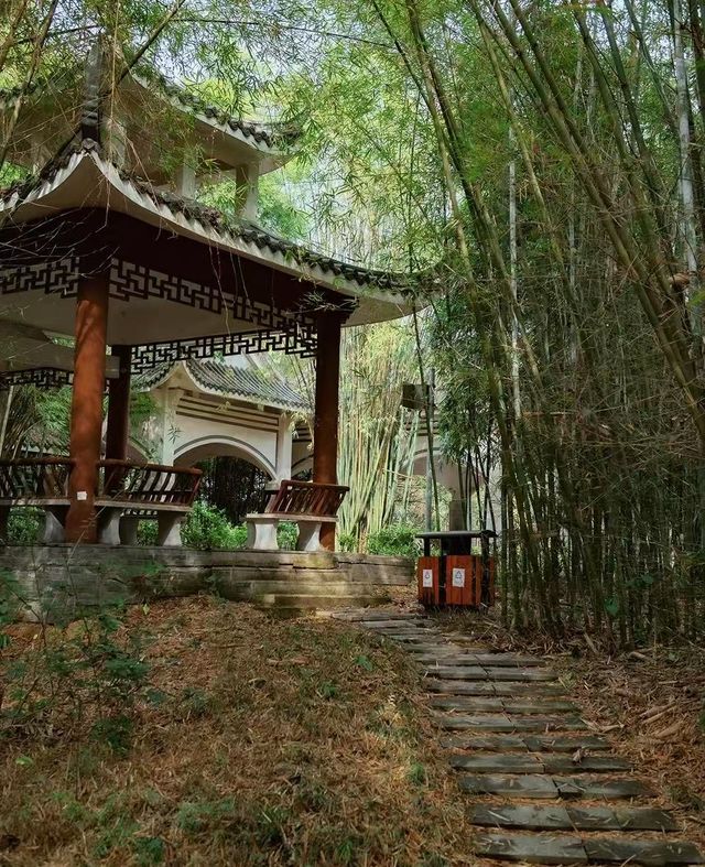 南寧狮山公園拍照秘境分享