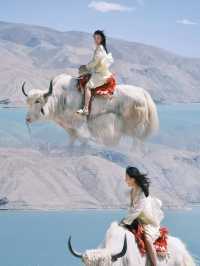 春秋旅行攻略：西藏的藍色天堂