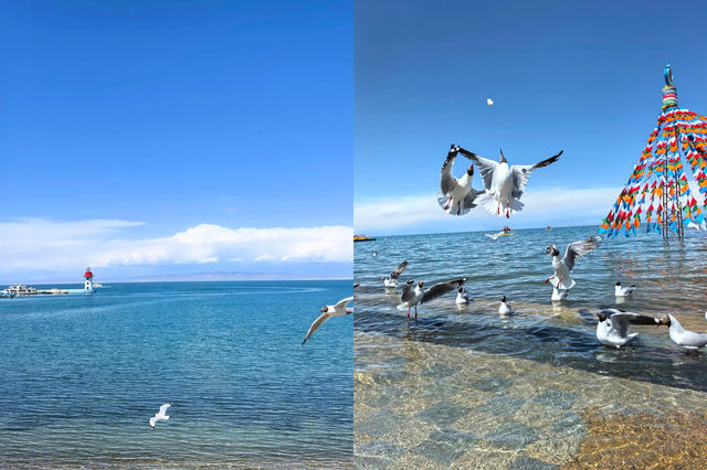 青海湖遊玩全攻略，新手都能輕鬆玩轉！