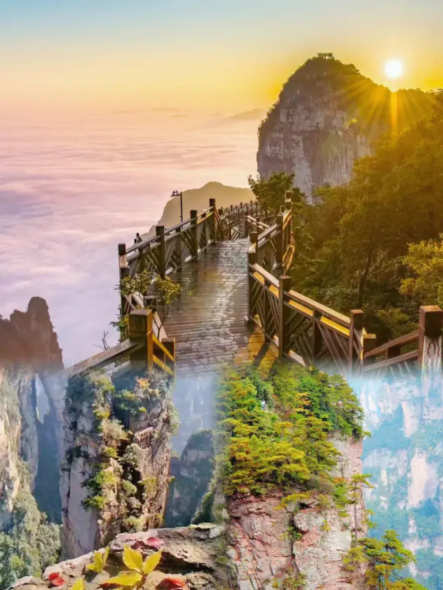 장자제의 매력이 대단해요! 인간 세상의 신선한 경치 속에 길을 잃었어요!