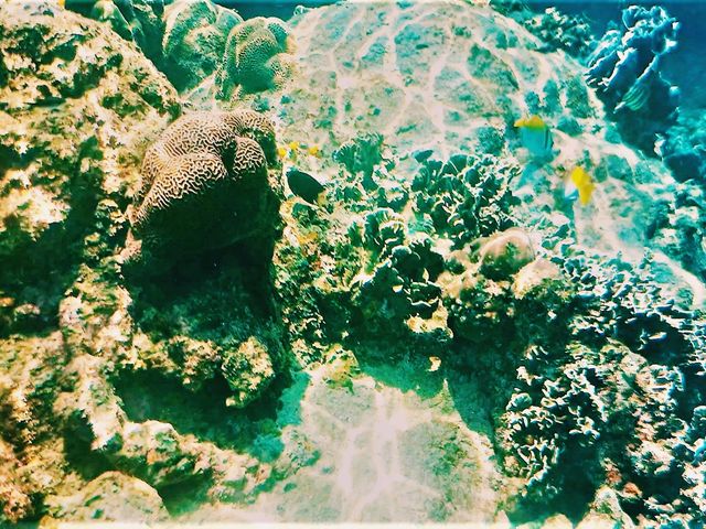 Koh Lipe’s Underwater Wonderland: The Ultimate Snorkeling Guide