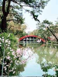 大阪秘境！住吉大社：千年神域的潮濕浪漫】**  