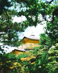 看過一次金閣寺，還想再看一萬次！