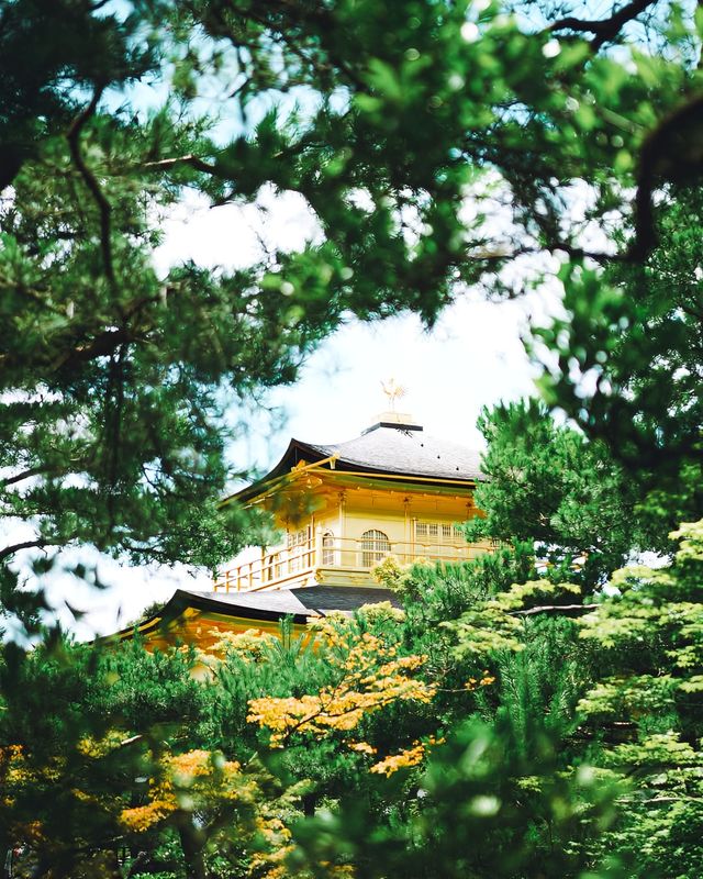 看過一次金閣寺，還想再看一萬次！