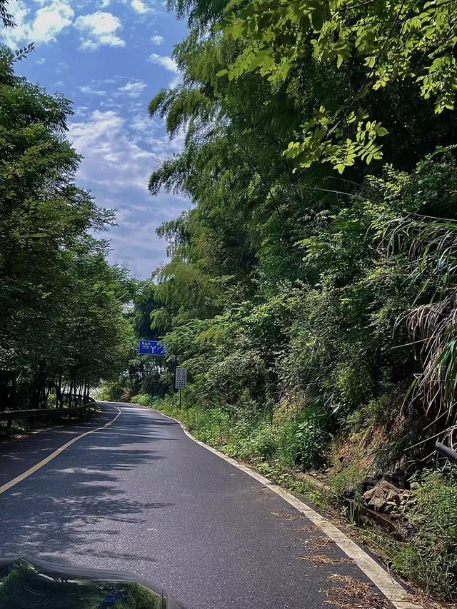 茶園竹林裡的隱世勝地