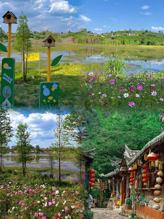 普洱已回8月真心唔建議去，我只想講啲大實話……