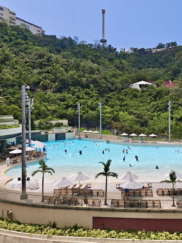 玩水與海洋奇觀的雙重體驗|香港海洋公園 玩水與海洋奇觀的雙重體驗|香港海洋公園
