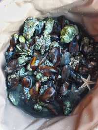 萬寧-陵水-三亞旅遊攻略：小眾親子遊+知識篇（幼兒友善版）