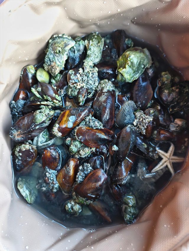 萬寧-陵水-三亞旅遊攻略：小眾親子遊+知識篇（幼兒友善版）