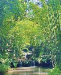 竹海盛景