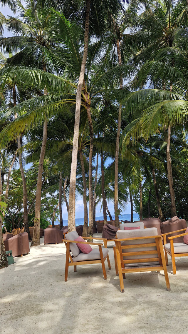 Two Blissful Weeks in Paradise