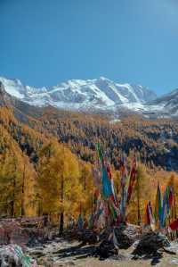 黨嶺彩林雪山徒步