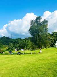 深圳公園天花板恩上濕地公園全攻略