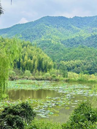 The ethereal sea of clouds and the enchanting moments at Yunling Mountain in Shaowu