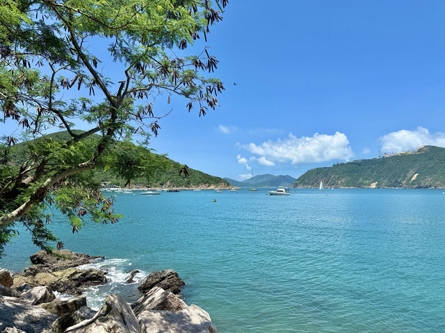 港島最美海岸線行山1.5小時新手友善路線！衝呀！