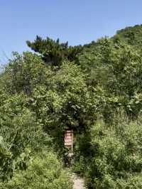 秋意濃——秋山風景區