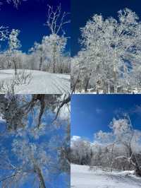 冬天嘅雪谷一個你嚟咗唔會後悔嘅地方！！