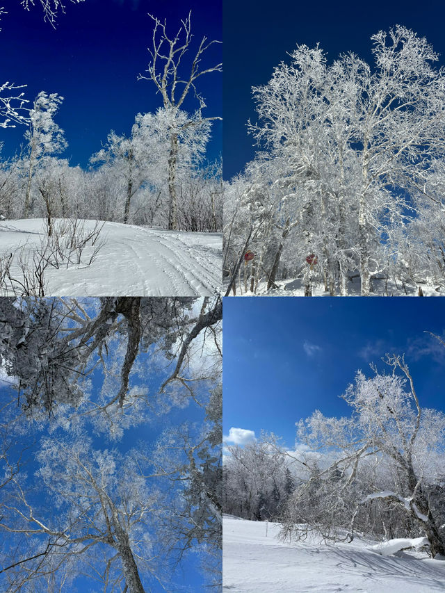 冬天嘅雪谷一個你嚟咗唔會後悔嘅地方！！