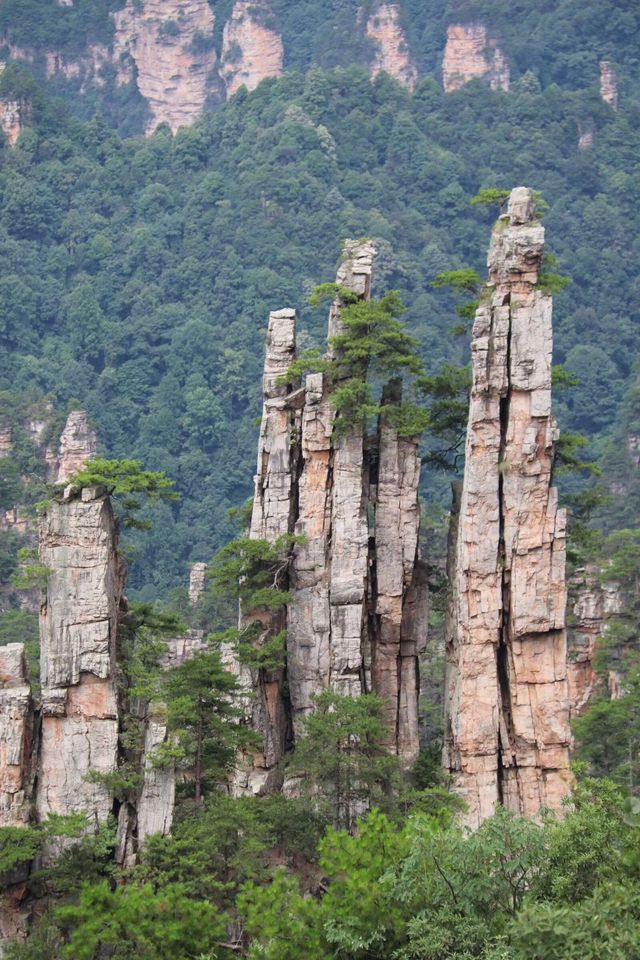 武陵源天子山旅遊攻略
